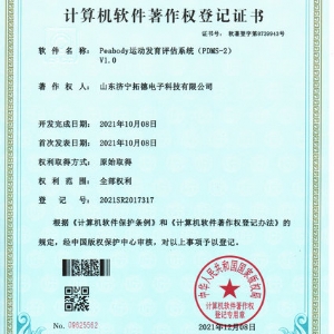 Peabody運(yùn)動發(fā)育評估系統(tǒng)(PDMS-2)軟件著作權(quán)